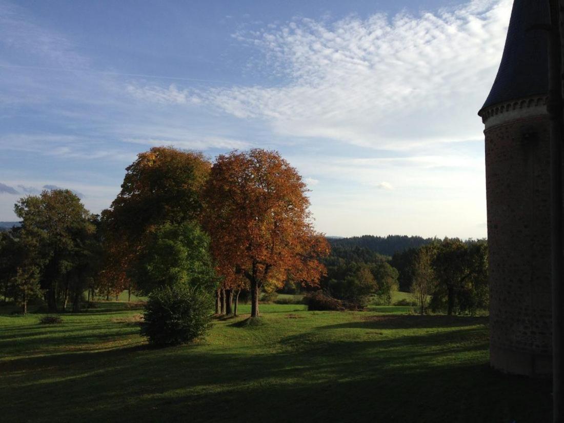 Chateau De La Forie Saint-Etienne-sur-Usson Kültér fotó