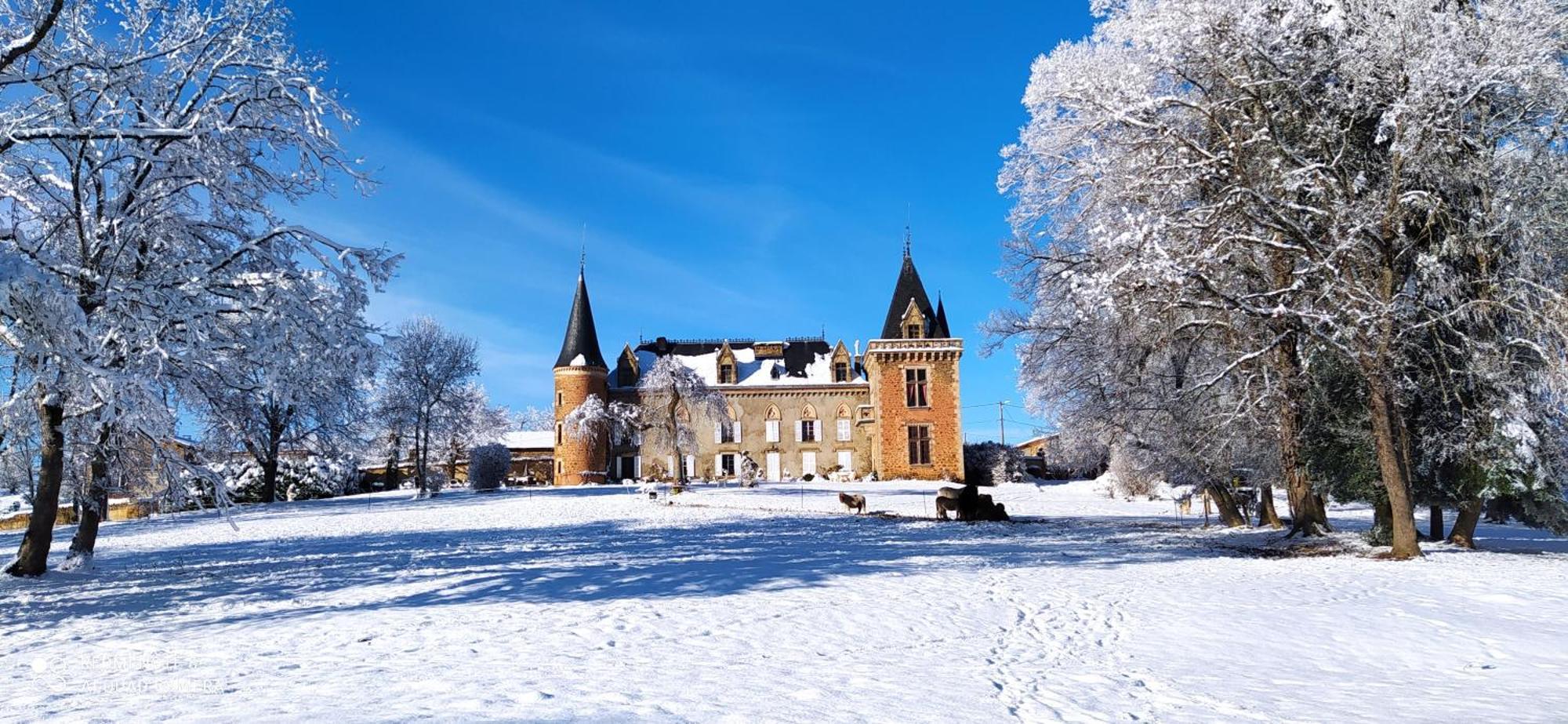 Chateau De La Forie Saint-Etienne-sur-Usson Kültér fotó